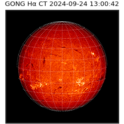 gong - 2024-09-24T13:00:42