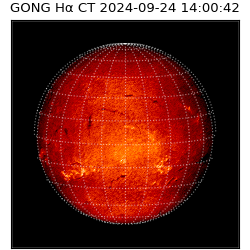 gong - 2024-09-24T14:00:42