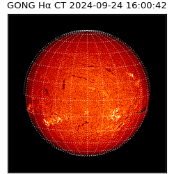 gong - 2024-09-24T16:00:42