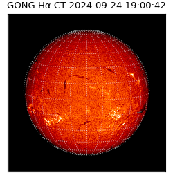 gong - 2024-09-24T19:00:42