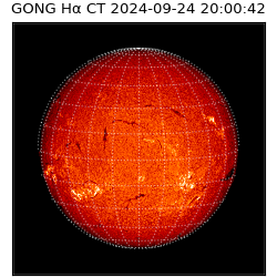 gong - 2024-09-24T20:00:42