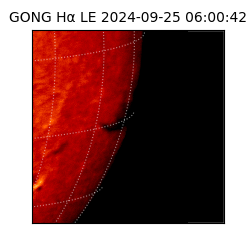 gong - 2024-09-25T06:00:42