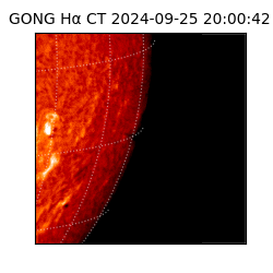 gong - 2024-09-25T20:00:42