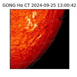 gong - 2024-09-25T13:00:42
