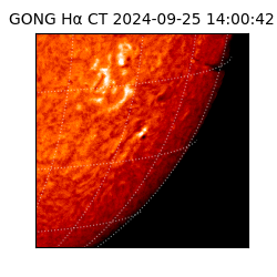 gong - 2024-09-25T14:00:42