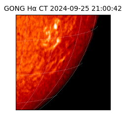 gong - 2024-09-25T21:00:42