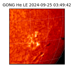 gong - 2024-09-25T03:49:42