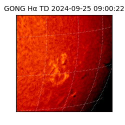 gong - 2024-09-25T09:00:22
