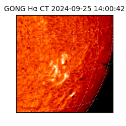 gong - 2024-09-25T14:00:42