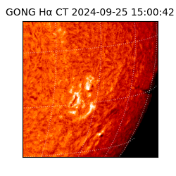 gong - 2024-09-25T15:00:42