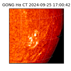 gong - 2024-09-25T17:00:42