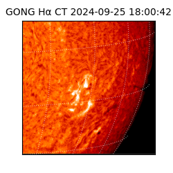 gong - 2024-09-25T18:00:42