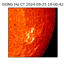 gong - 2024-09-25T19:00:42