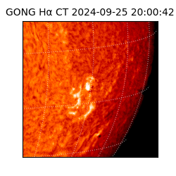 gong - 2024-09-25T20:00:42