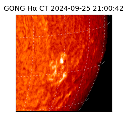 gong - 2024-09-25T21:00:42