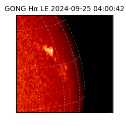 gong - 2024-09-25T04:00:42