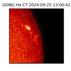 gong - 2024-09-25T13:00:42