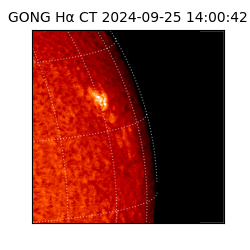 gong - 2024-09-25T14:00:42