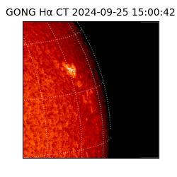 gong - 2024-09-25T15:00:42