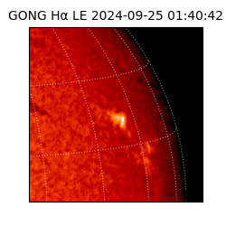 gong - 2024-09-25T01:40:42