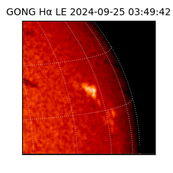 gong - 2024-09-25T03:49:42