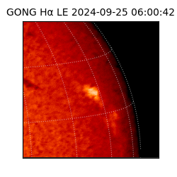 gong - 2024-09-25T06:00:42