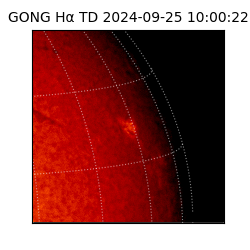 gong - 2024-09-25T10:00:22