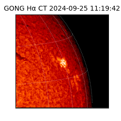 gong - 2024-09-25T11:19:42
