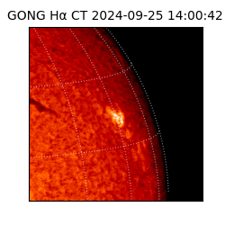 gong - 2024-09-25T14:00:42