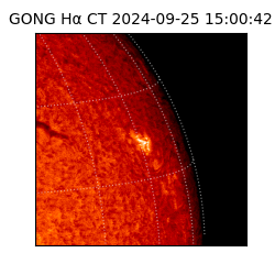 gong - 2024-09-25T15:00:42