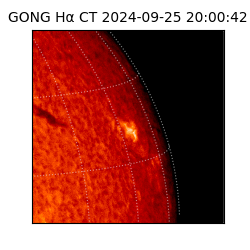 gong - 2024-09-25T20:00:42