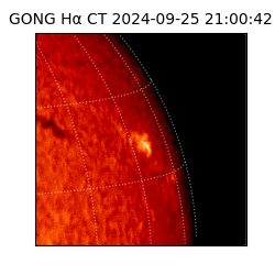 gong - 2024-09-25T21:00:42