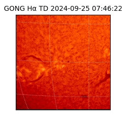 gong - 2024-09-25T07:46:22