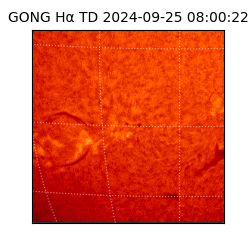 gong - 2024-09-25T08:00:22