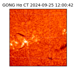 gong - 2024-09-25T12:00:42