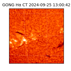 gong - 2024-09-25T13:00:42