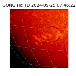 gong - 2024-09-25T07:46:22