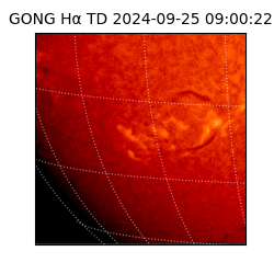 gong - 2024-09-25T09:00:22