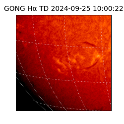 gong - 2024-09-25T10:00:22