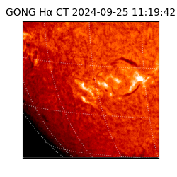 gong - 2024-09-25T11:19:42