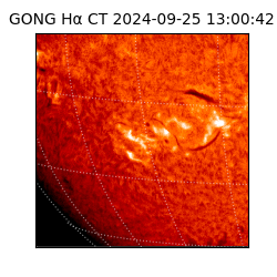 gong - 2024-09-25T13:00:42