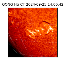 gong - 2024-09-25T14:00:42