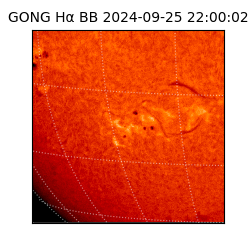 gong - 2024-09-25T22:00:02