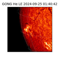 gong - 2024-09-25T01:40:42