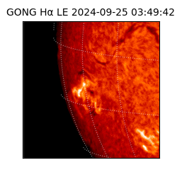 gong - 2024-09-25T03:49:42