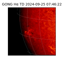 gong - 2024-09-25T07:46:22