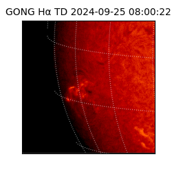 gong - 2024-09-25T08:00:22