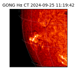 gong - 2024-09-25T11:19:42