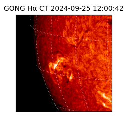 gong - 2024-09-25T12:00:42