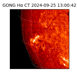 gong - 2024-09-25T13:00:42